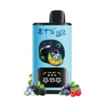 ETS Galaxy E-Zigaretten – 30.000 Züge – Dual Flavours – Bild 13