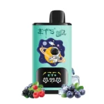 ETS Galaxy E-Zigaretten – 30.000 Züge – Dual Flavours