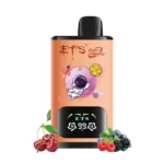 ETS Galaxy E-Zigaretten – 30.000 Züge – Dual Flavours – Bild 16